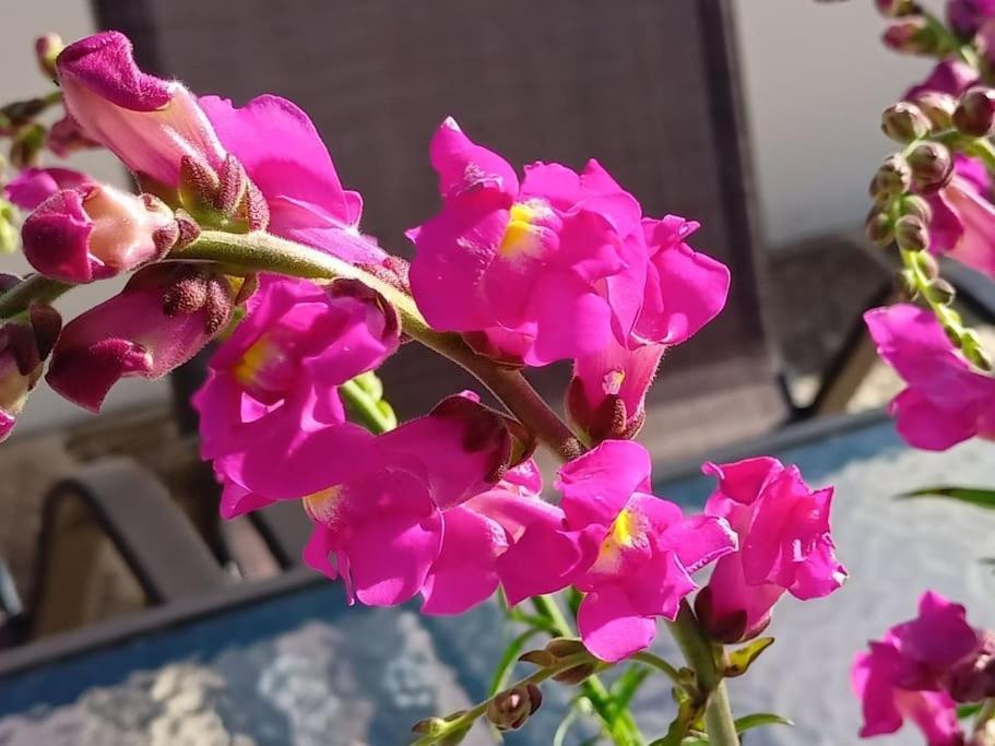 Smaragdas Paradise İdra Dış mekan fotoğraf