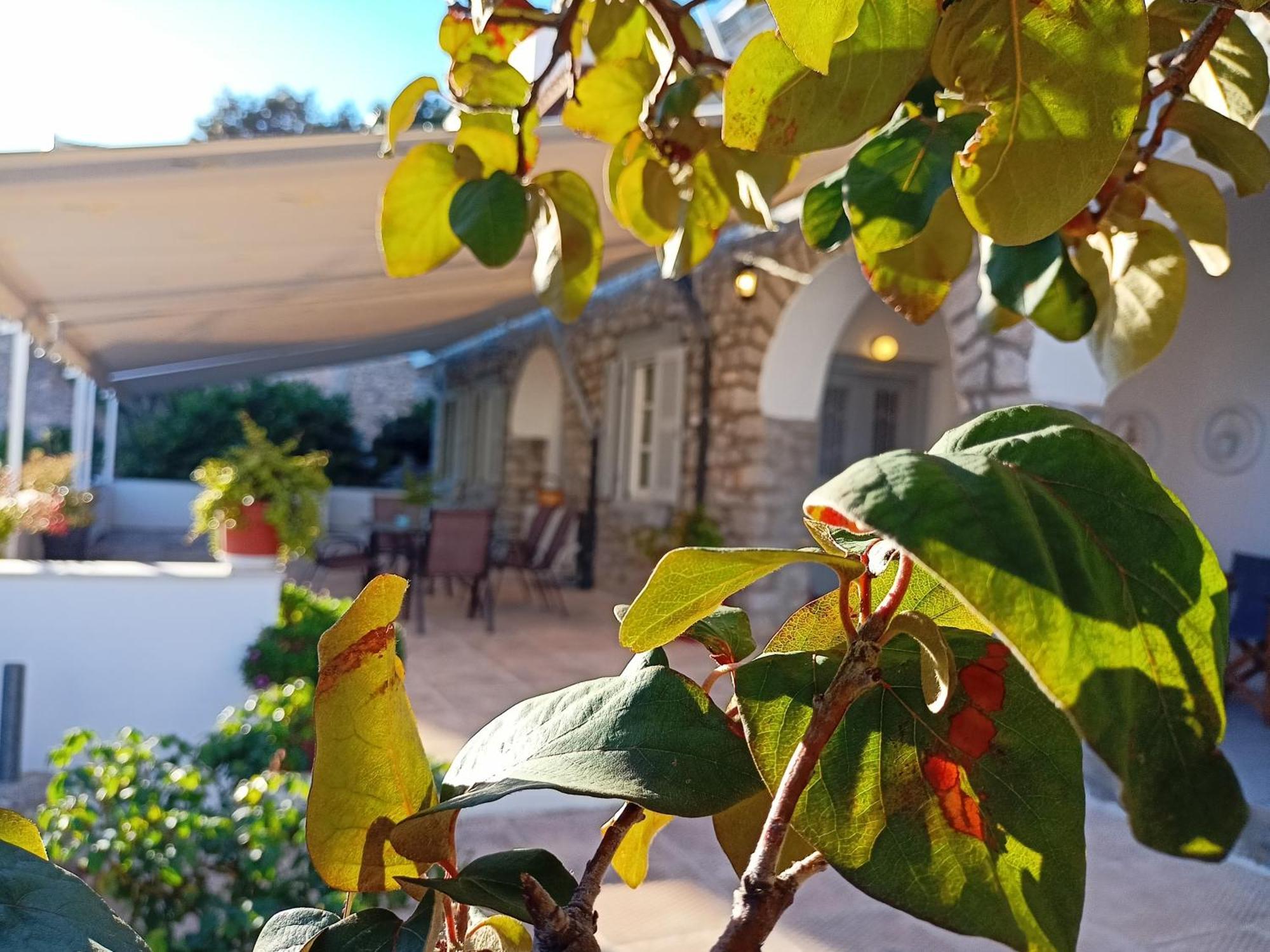 Smaragdas Paradise İdra Dış mekan fotoğraf